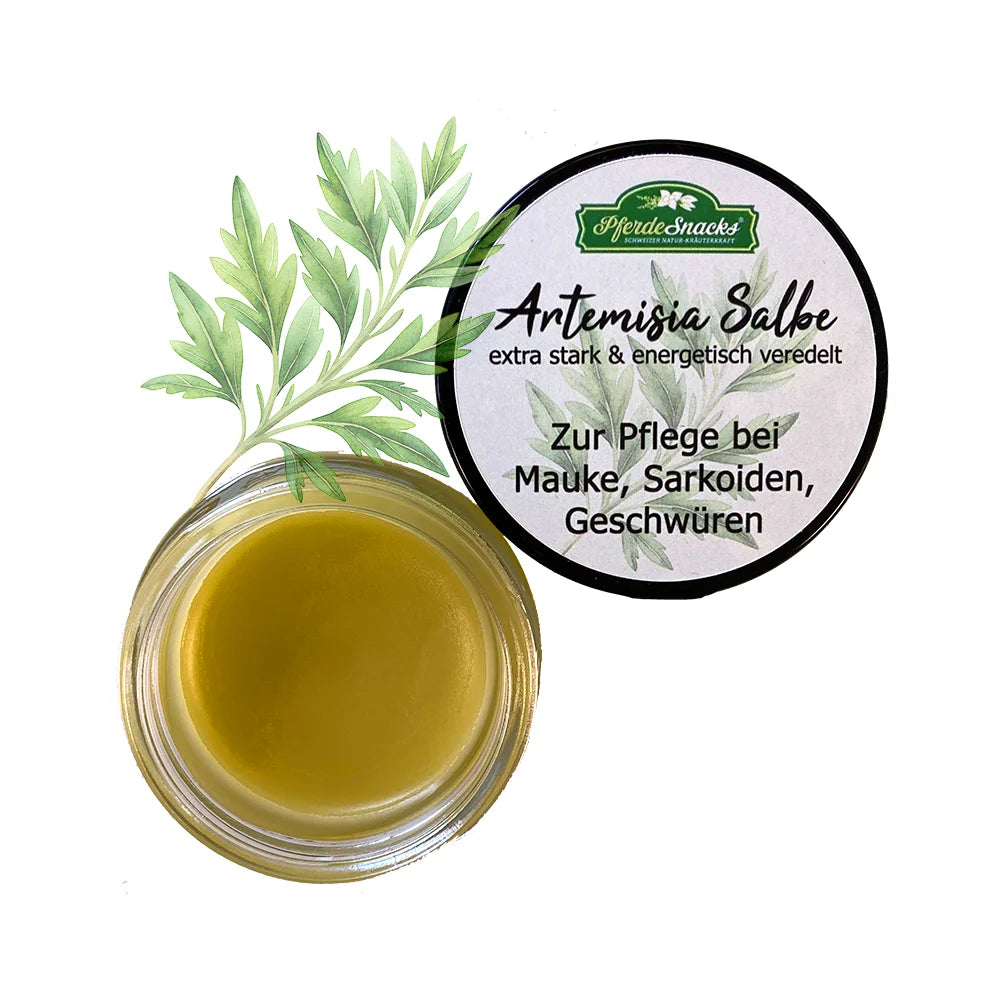 Artemisia annua Salbe PET 50g
