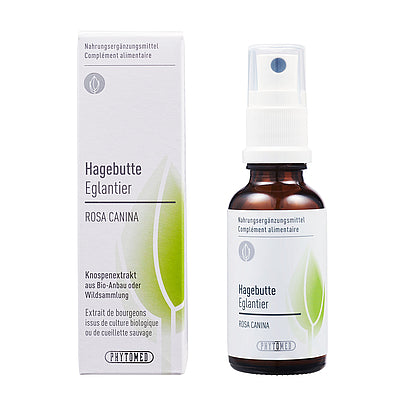 HAGEBUTTE Rosa canina Knospenextrakt 30ml