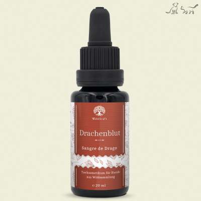 Drachenblut mit 90%OPC – Sangre de Drago 20ml