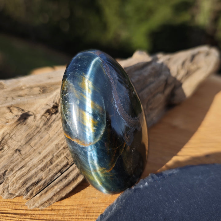 Falkenauge (Weitblick) Handschmeichler (6)