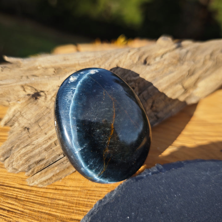 Falkenauge (Weitblick) Handschmeichler (5)