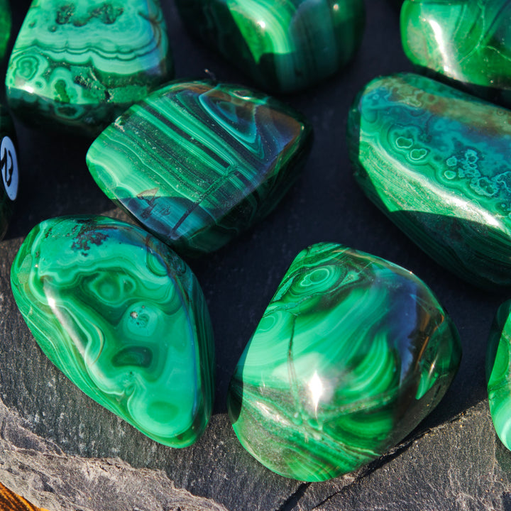 Malachit Trommelsteine (Neubeginn & Wachstum) Extraqualität 2-3cm