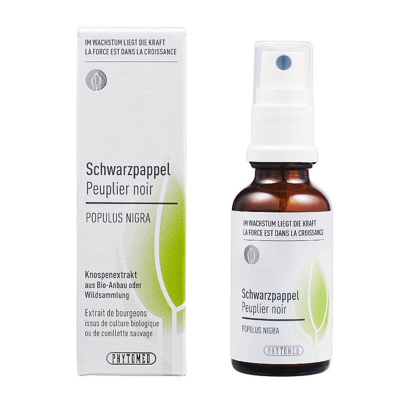 SCHWARZPAPPEL Populus nigra Knospenextrakt 30ml