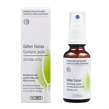 GELBER ENZIAN Gentiana Lutea Knospenextrakt 30ml