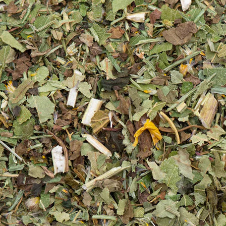 Kräutertee "Plus" - Anis Fenchel Kümmel Kamille BIO 100g