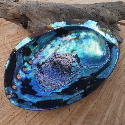 Sea opal (paua, abalone) shell 1