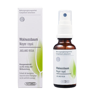 Wallnussbaum Knospenextrakt Themen: Infektionen der Schleimhäute, Pilzinfektionen der Schleimhäute, Ekzeme, Psoriasis, Akne, Arthritis und Polyarthritis, Durchfall, Darmparasiten