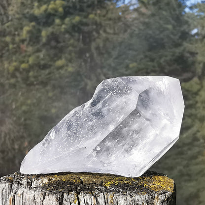 Bergkristall-Spitze (7)